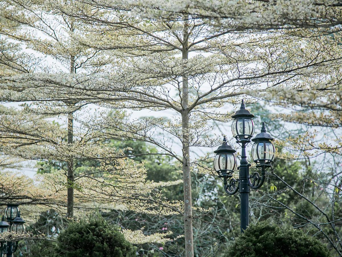 Flying Villa Nantou Экстерьер фото